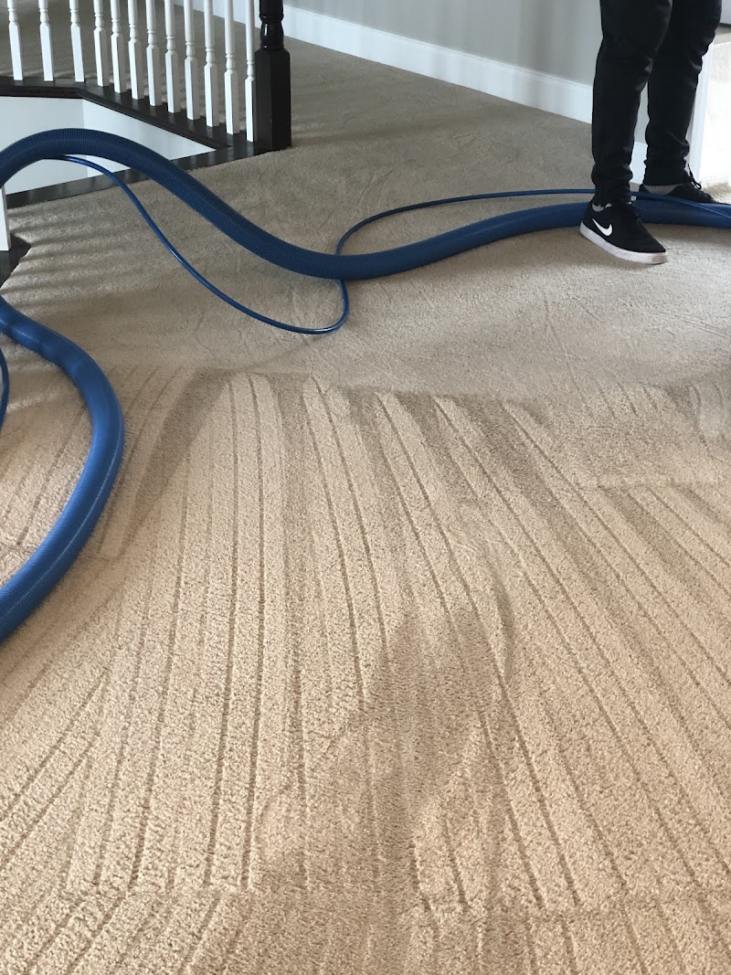 Maximum Carpet Cleaning image 5