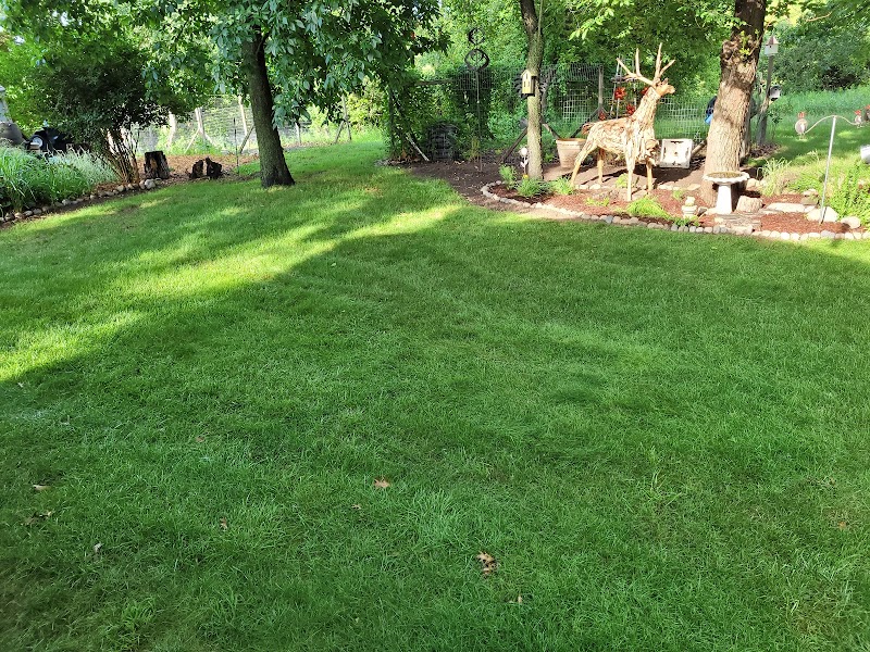 NexGreen Lawn, Tree and Exterior Pest Control image 3
