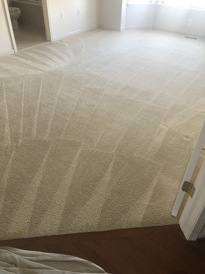 Maximum Carpet Cleaning image 3