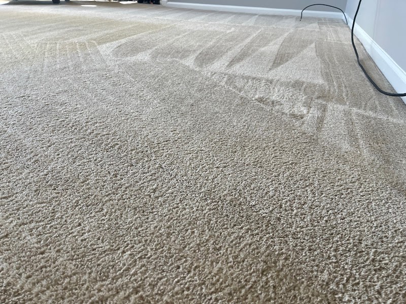Maximum Carpet Cleaning image 6